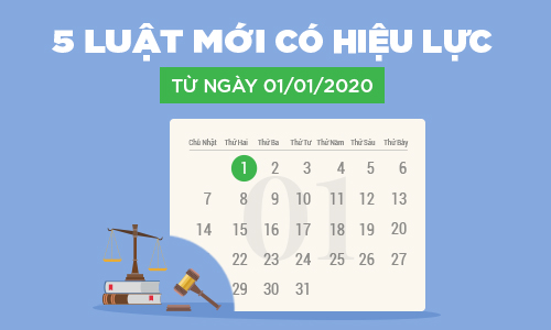 Infographic: Điểm mới 5 Luật có hiệu lực từ ngày 01/01/2020