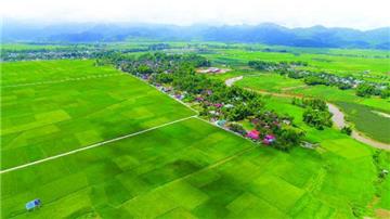 Từ 01/3/2021, có đúng nợ tiền sử dụng đất phải nộp theo mức cao hơn?