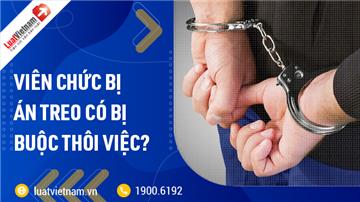 Có buộc thôi việc viên chức bị án treo không?