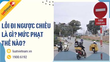 Thế nào là lỗi đi ngược chiều? Mức phạt lỗi đi ngược chiều Thế nào là lỗi đi ngược chiều? Mức phạt lỗi đi ngược chiều