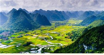 Thủ tục chuyển đổi đất trồng lúa sang đất trồng cây hàng năm