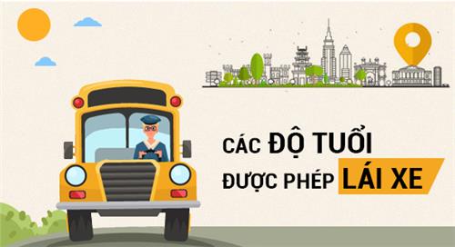 Infographic: Các độ tuổi được phép lái xe Infographic: Các độ tuổi được phép lái xe