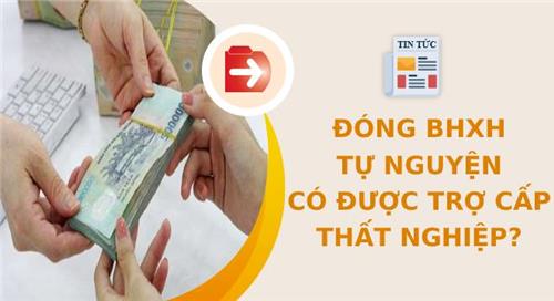 Đóng BHXH tự nguyện có được hưởng trợ cấp thất nghiệp? Đóng BHXH tự nguyện có được hưởng trợ cấp thất nghiệp?