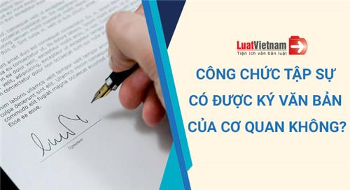 Công chức tập sự có được ký văn bản của cơ quan, đơn vị không?