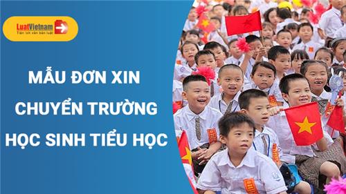 Mẫu Đơn xin chuyển trường cho học sinh tiểu học trong nước
