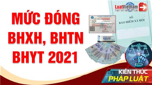 Video: Mức đóng BHXH bắt buộc, BHTN, BHYT năm 2021