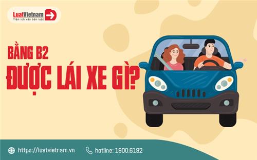 Bằng B2 lái xe gì? Khác gì với bằng B1? Hồ sơ, thủ tục thi bằng B2 Bằng B2 lái xe gì? Khác gì với bằng B1? Hồ sơ, thủ tục thi bằng B2