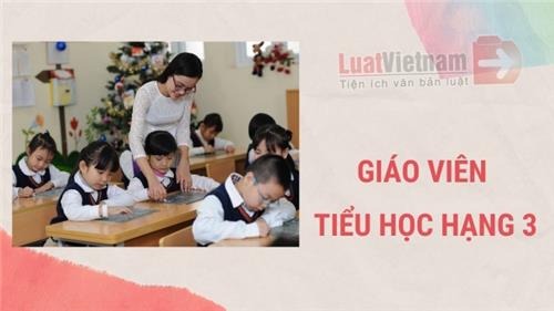Giáo viên tiểu học hạng 3: Tiêu chuẩn và chế độ Giáo viên tiểu học hạng 3: Tiêu chuẩn và chế độ